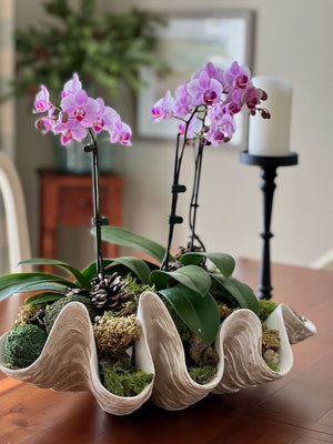 Lovelise Flowers