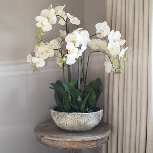 Lovelise Flowers