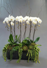 Load image into Gallery viewer, Lovelise Flowers

