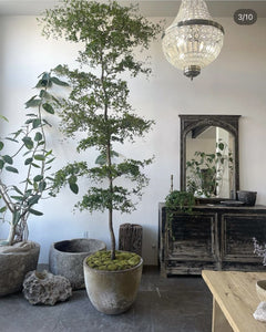 Specialty Pots