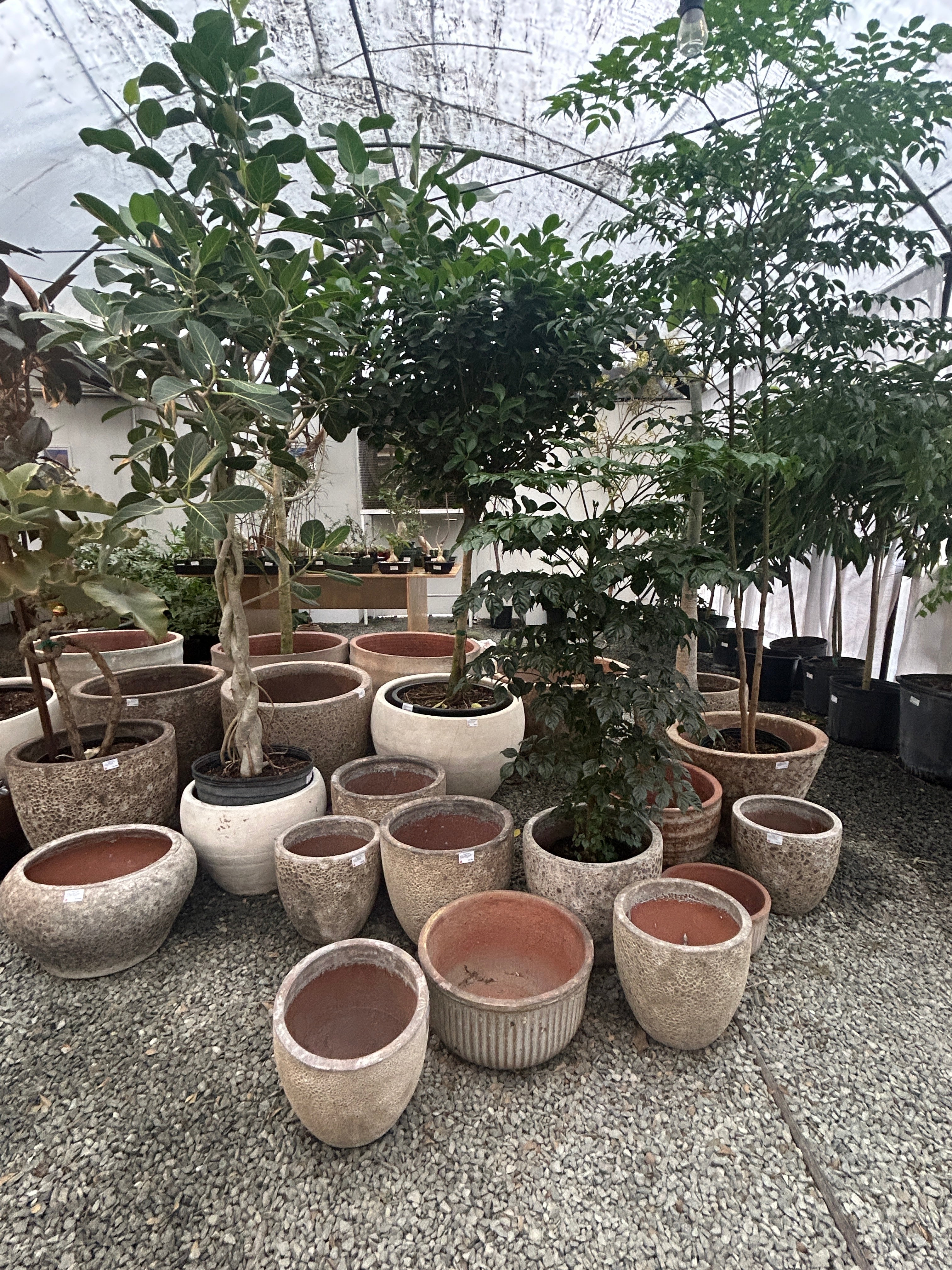 Specialty Pots