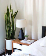Load image into Gallery viewer, Medium Plant Bundle
